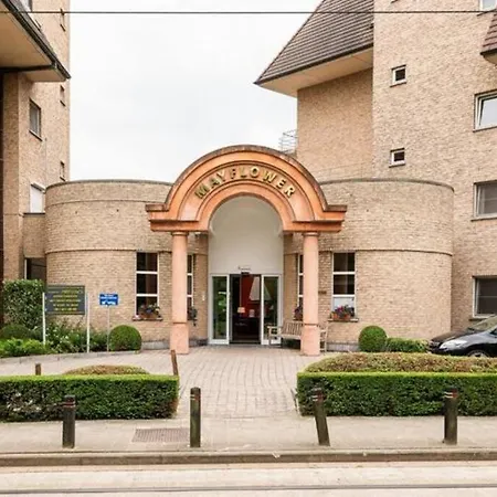 New Haven @mayflower