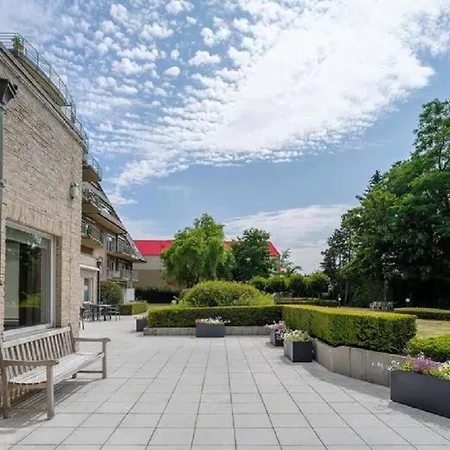 New Haven @mayflower *