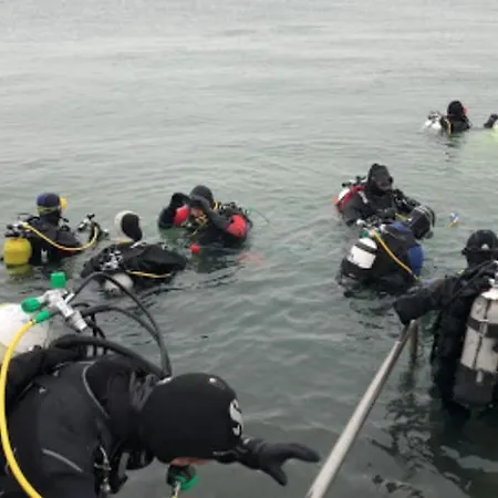 New Haven @mayflower * Gand