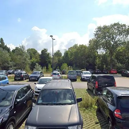 New Haven @mayflower