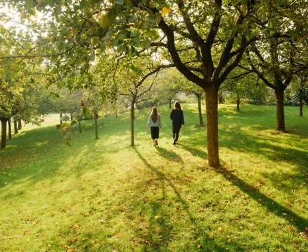 Appartement New Haven @mayflower Gand