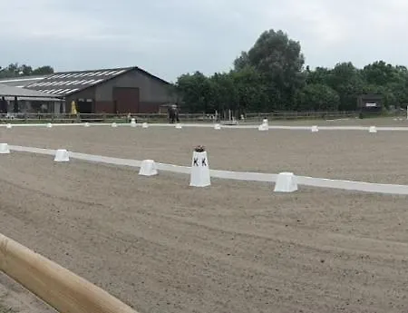 New Haven @mayflower