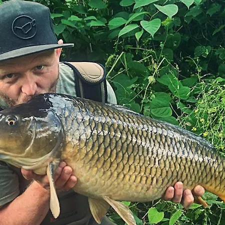 New Haven @mayflower * Gand