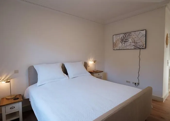 New Haven @mayflower *