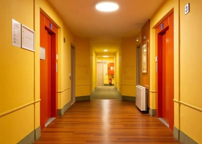 New Haven @mayflower