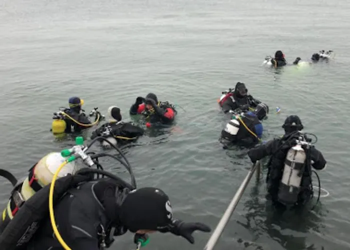 New Haven @mayflower * Gent