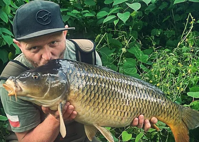 New Haven @mayflower * 헨트