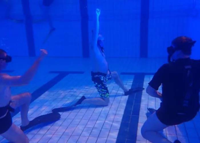 New Haven @mayflower *